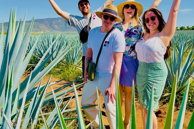 Tequila/Guachimontones Tour-cultural heritage route - Guachimontones and the mystery of the round pyramids