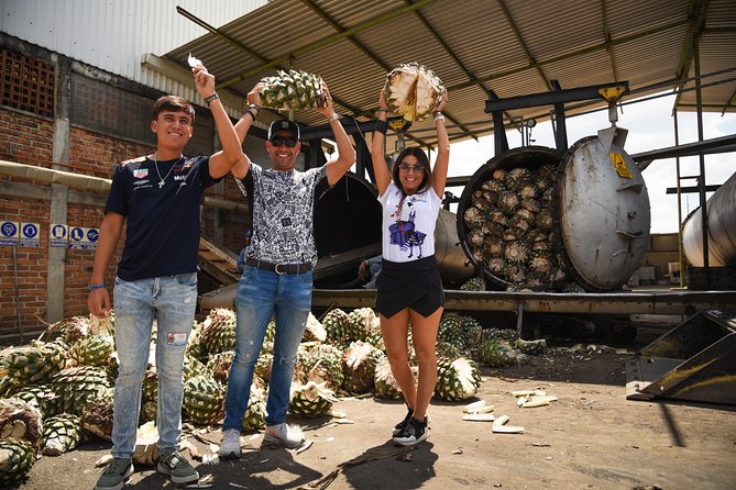 Tequila Route Experience from Guadalajara - El Arenal, the gateway to the agave country