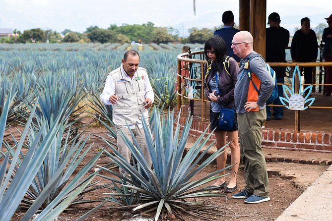 Tequila Route Experience from Guadalajara - A clay-jar drink in Amatitán
