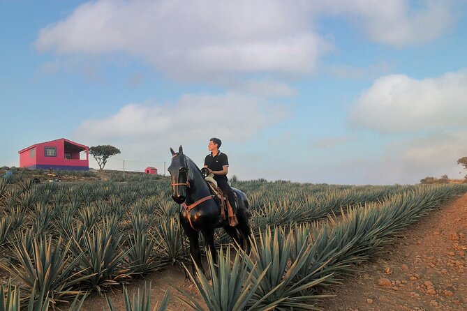 Tequila tour with tasting. - Drinking, fitness, and practical concerns