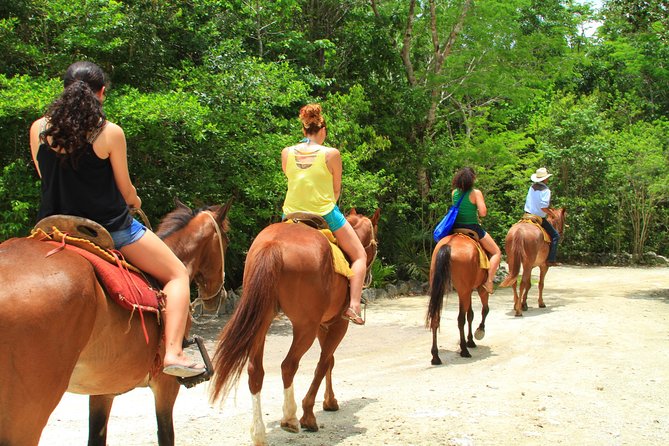 The best ATVs, zipline, cenote tour with lunch and transportation - What the staff and organization may be like
