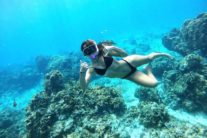 The Cozumel Turtle Sanctuary Snorkel Tour - The turtle area: a natural encounter, not a guarantee