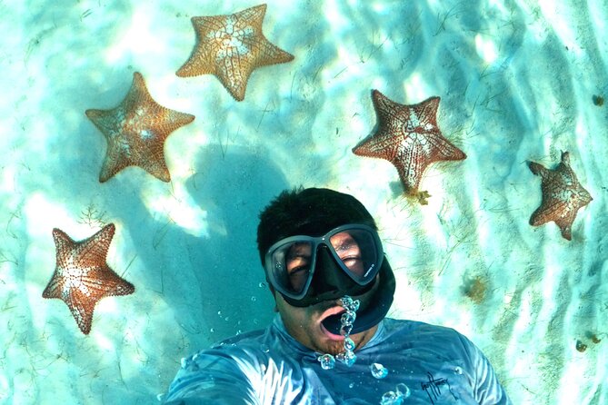 The Cozumel Turtle Sanctuary Snorkel Tour - El Cielo and the starfish sand