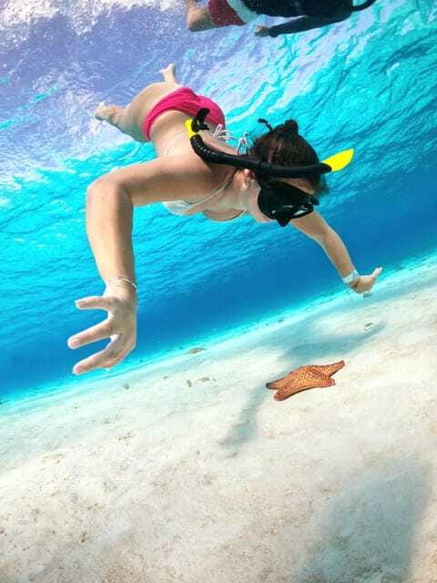 The Cozumel Turtle Sanctuary Snorkel Tour - What to pack and what to leave behind
