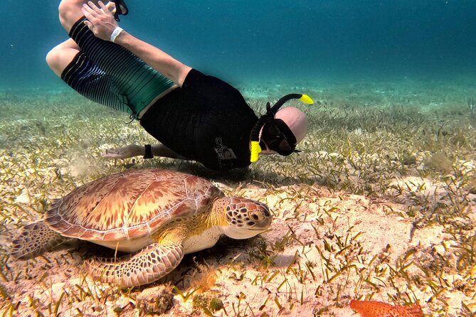 The Cozumel Turtle Sanctuary Snorkel Tour - Getting to the boat in Cozumel