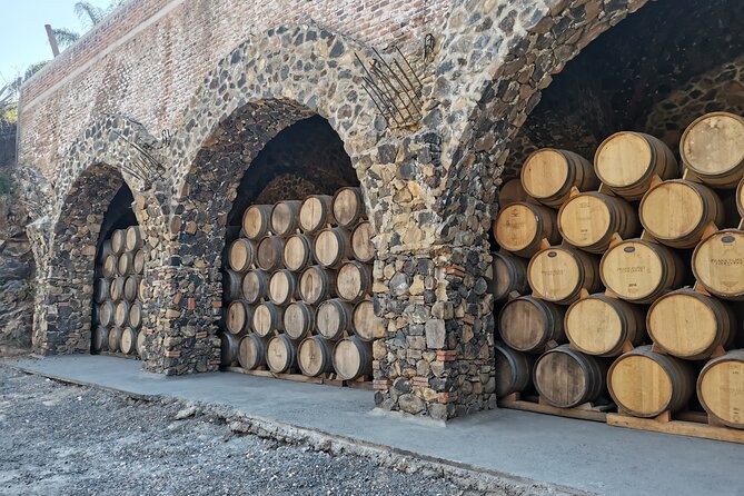 The Fire TOUR - Pyramids, Volcanoes, Agaves & Tequila - Who will enjoy this Guadalajara day trip