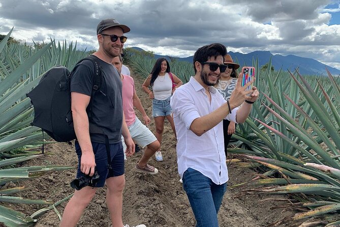 The Mezcal Journey - What the tasting teaches you