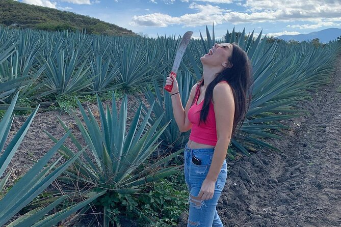 The Mezcal Journey - Should you book it?