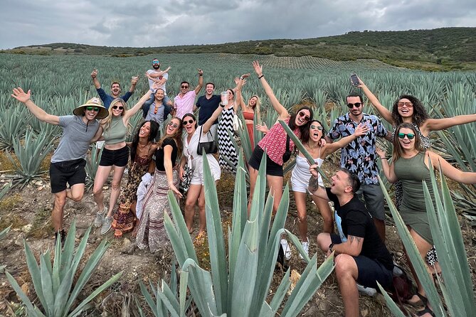 The Mezcal Journey - Walking through the agave at Campo Enigma