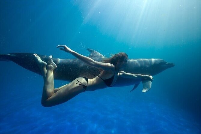 The only Natural Space Dolphin Encounter in Cabo Optional Pickup! - Key things to know before booking