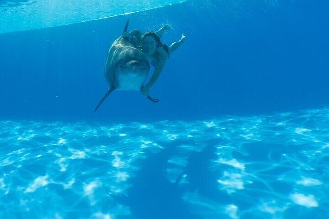 The only Natural Space Dolphin Encounter in Cabo Optional Pickup! - Who will enjoy this most