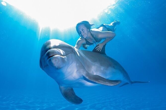 The only Natural Space Dolphin Encounter in Cabo Optional Pickup! - Booking, pickup, and weather details