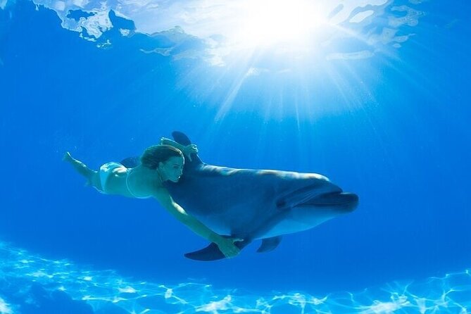 The only Natural Space Dolphin Encounter in Cabo Optional Pickup! - Should you book this dolphin encounter?