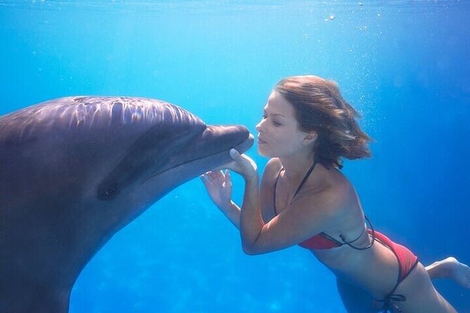 The only Natural Space Dolphin Encounter in Cabo Optional Pickup! - What the one-hour session is really like