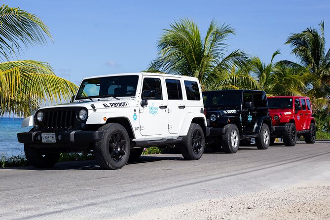 The Original Jeep Tour Revamped by Tortugas Cozumel® (Private) - How the $74.99 Price Holds Up