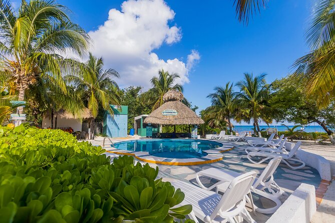 Tikinxic Barefoot Fish Guided Cookout Experience in Cozumel - Time to relax by the pool and sand