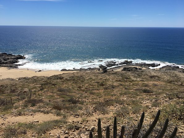 Todos Santos Day Trip from Cabo San Lucas - Tequila tasting adds a social break