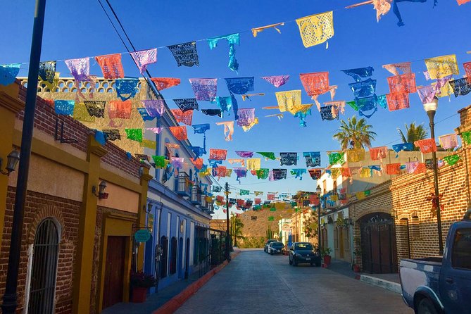 Todos Santos Day Trip from Cabo San Lucas - Transportation, walking, and timing