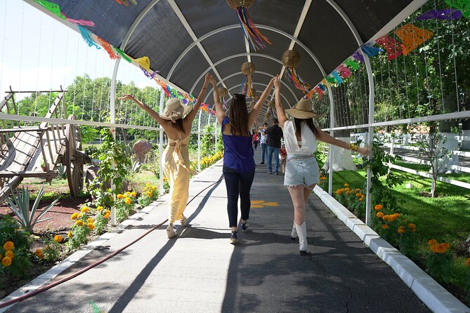 Tour to Lake Chapala, MAGIC TOWN of Ajijic from Guadalajara - Ajijic: colorful streets and an international feel