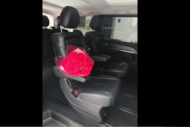 Transfer in Luxury Mercedes Benz Minivan - What makes the service useful for families