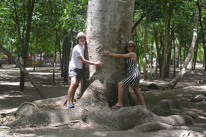 TULUM 4x1 : Archaeological Site, Cenote, 5th Avenue and lunch - Muul Ichi Ts ono ot offers a welcome swim