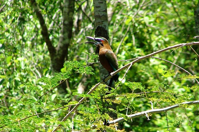 Tulum Archaeological Site & Sian Ka'an Muyil Tour from Tulum - Transport, Timing, and Extra Fees