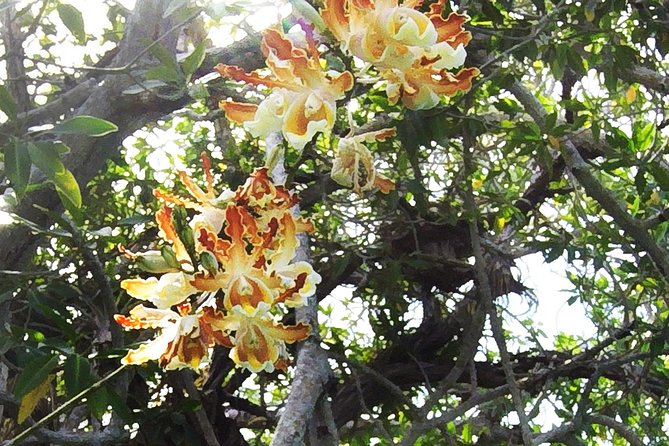 Tulum Archaeological Site & Sian Ka'an Muyil Tour from Tulum - Is $169 a Fair Price?