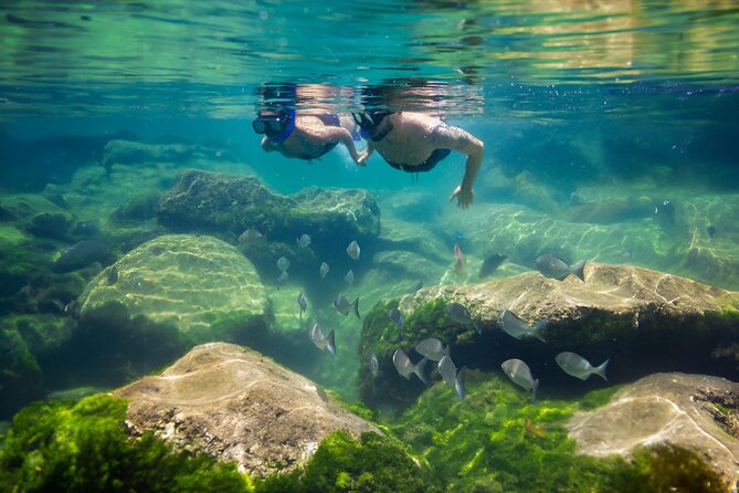 Tulum Guided Tour, Magical Cenote, Lagoon Snorkeling and Beachside Lunch - Beachside lunch at Punta Venado