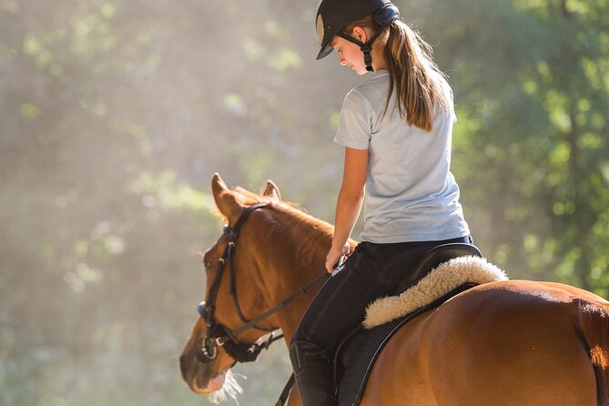 Tulum Jungle Horseback Ride + ATV + Ziplines + Cenote Combo Tour - Getting to the meeting point in Tulum