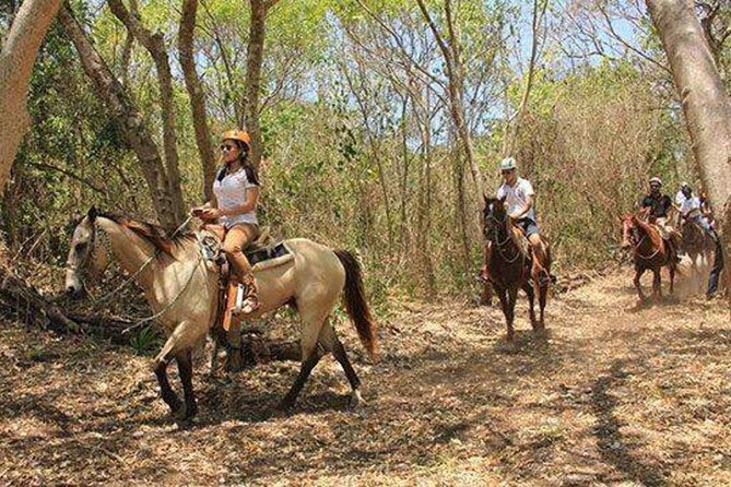 Tulum Jungle Horseback Ride + ATV + Ziplines + Cenote Combo Tour - Four ziplines, and possibly a fifth
