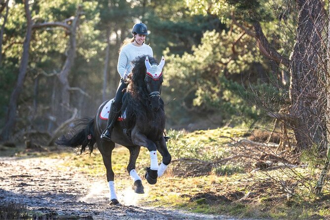 Tulum Jungle Horseback Ride + ATV + Ziplines + Cenote Combo Tour - ATV riding on rough, dusty tracks