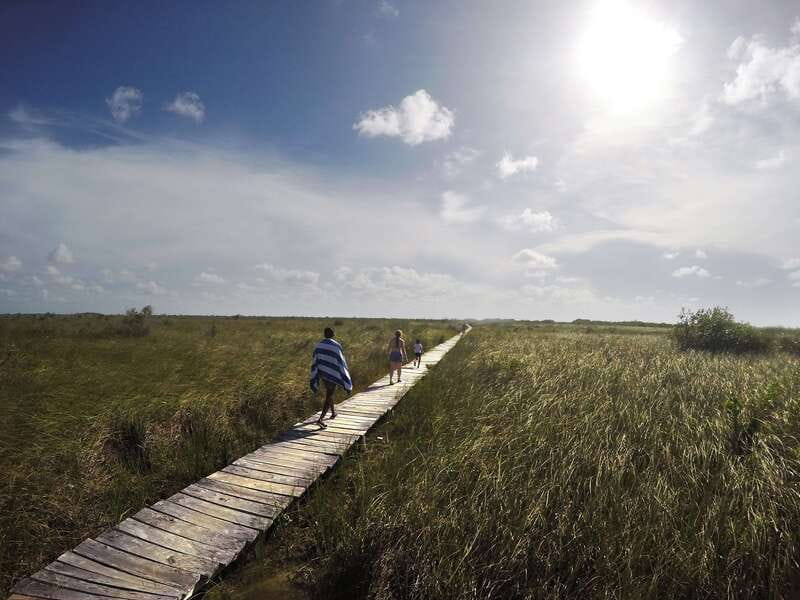Tulum: Mayan Ruins & Sian Kaan Tour with Boat Ride and Lunch - A Mexican lunch that breaks up the heat