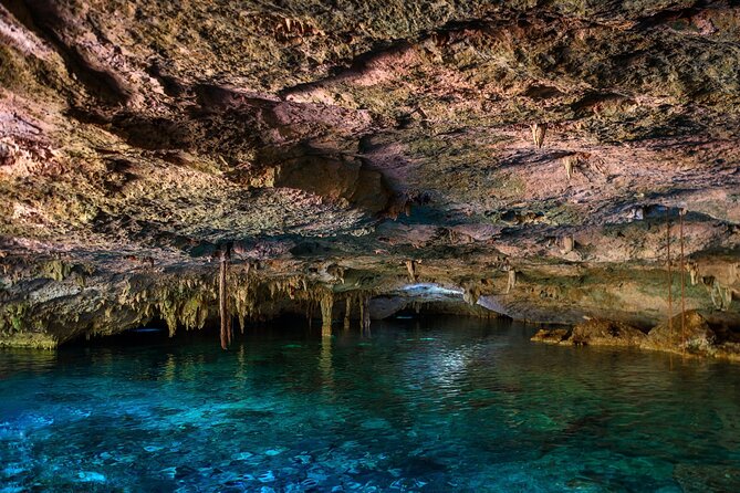 Tulum Ruins and Cenote Guided Tour, from Cancun - Is $49 a good value?