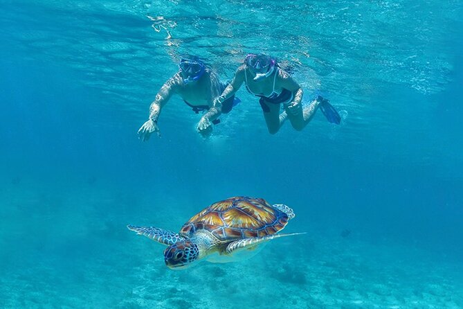 Tulum, Snorkeling with Sea Turtles, Cenote and Beachside Lunch - Why this six-hour Tulum combination works