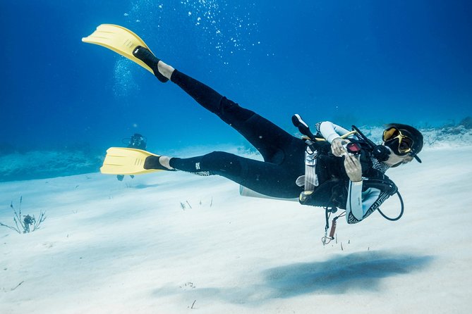 Two tanks local diving for certified divers, SCUBA gear included - The beach surface interval