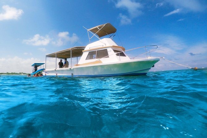 Ultimate 5x1 Combo with ATV, Ziplines, Cenote & Reef Snorkeling - Puerto Morelos reef snorkeling