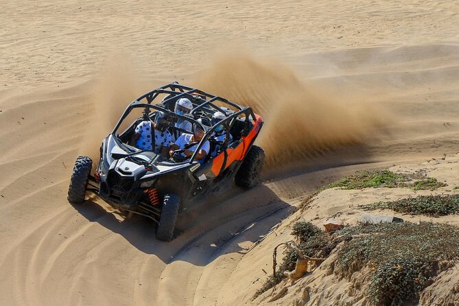 UTV 4X4 Cabo Adventure, Beach Ride & Tequila Tasting - Wildlife, scenery, and local stories