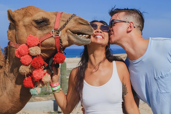 UTV Adventure with Free Camel Ride and Sky Bikes - Three Cabo activities packed into one short outing