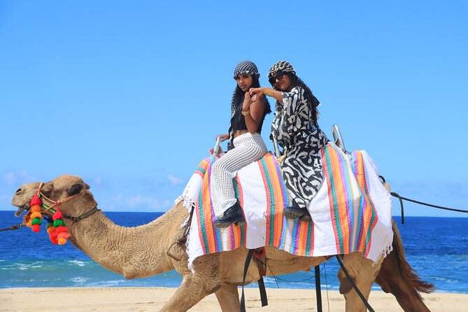 UTV Adventure with Free Camel Ride and Sky Bikes - Sky bikes and the ecological hike