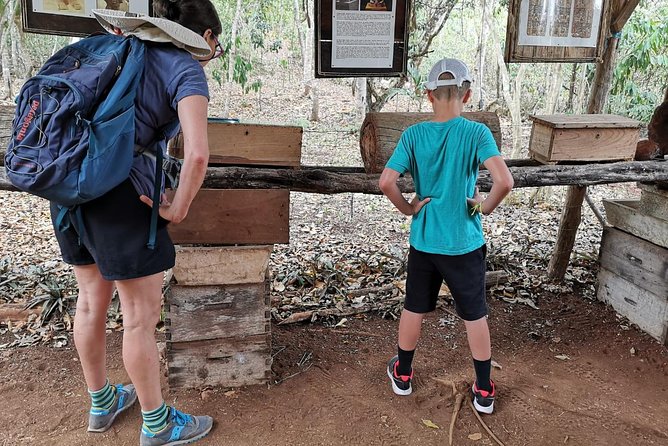 Valladolid Mayan Bees Tour with Lunch or breakfast and Honey Tasting - Starting at Xkopek and heading toward the dry cenote