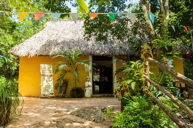 Valladolid Mayan Bees Tour with Lunch or breakfast and Honey Tasting - Inside the meliponario, where the hives become the main event