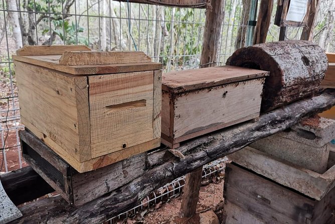 Valladolid Mayan Bees Tour with Lunch or breakfast and Honey Tasting - Timing, group size, and value in practical terms