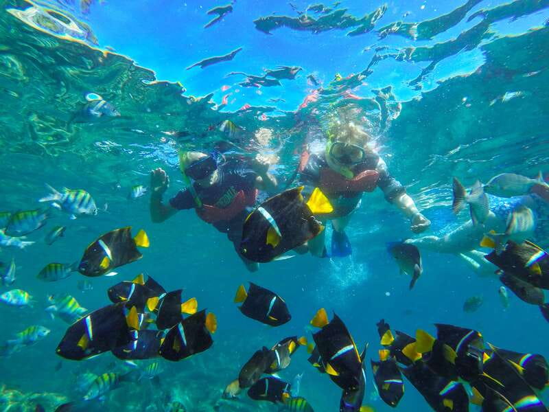 Vallarta: Yelapa Waterfall & Majahuitas Snorkel Adventure - The boat ride from Puerto Vallarta