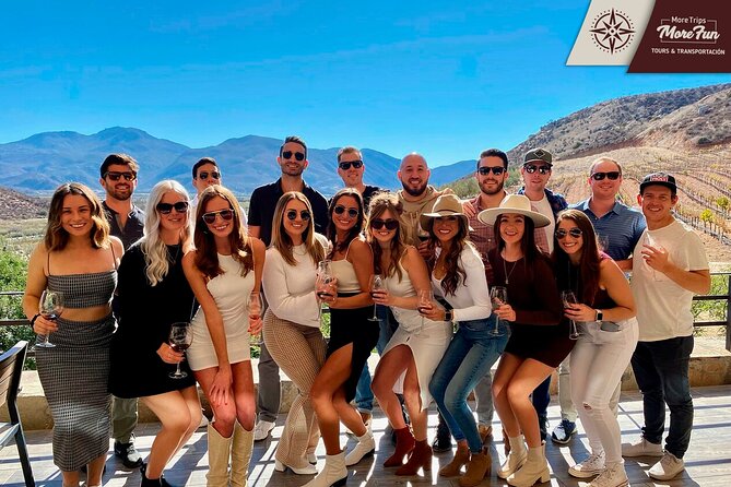 Valle de Guadalupe winery and brewery tours - What the drivers add to the day