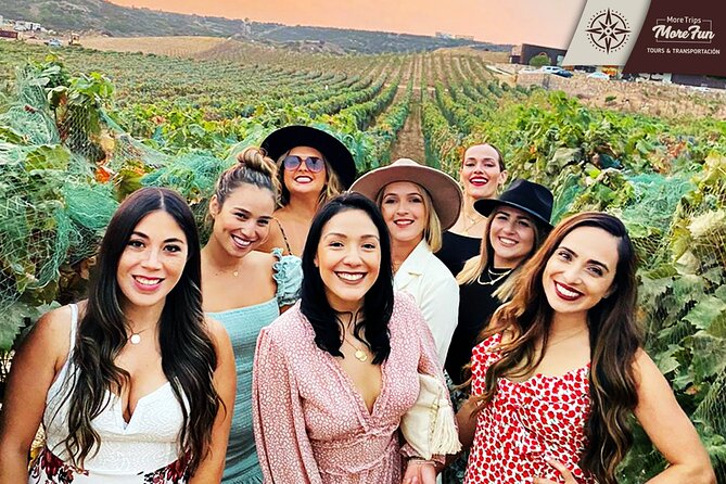 Valle de Guadalupe winery and brewery tours - Who should book this experience
