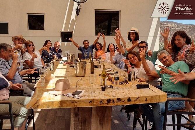 Valle de Guadalupe winery and brewery tours - Booking tips for a smoother day