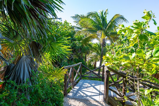Viator Exclusive: Tulum Ruins, Reef Snorkeling, Cenote and Caves - Reef snorkeling by motorboat