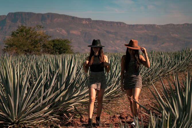 Vip Tequila Experience - How the guides shape the experience