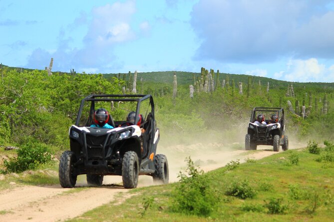 Viper Trail UTV Small-Group Experience in Cabo San Lucas - Trading Cabo’s marina for Baja dirt tracks