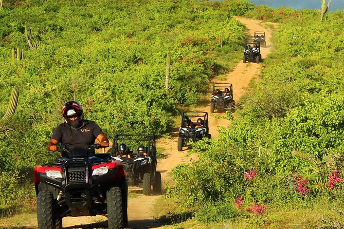 Viper Trail UTV Small-Group Experience in Cabo San Lucas - Hotel pickup and the Rancho San Cristobal transfer